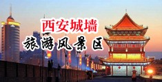 55555肥熟av中国陕西-西安城墙旅游风景区